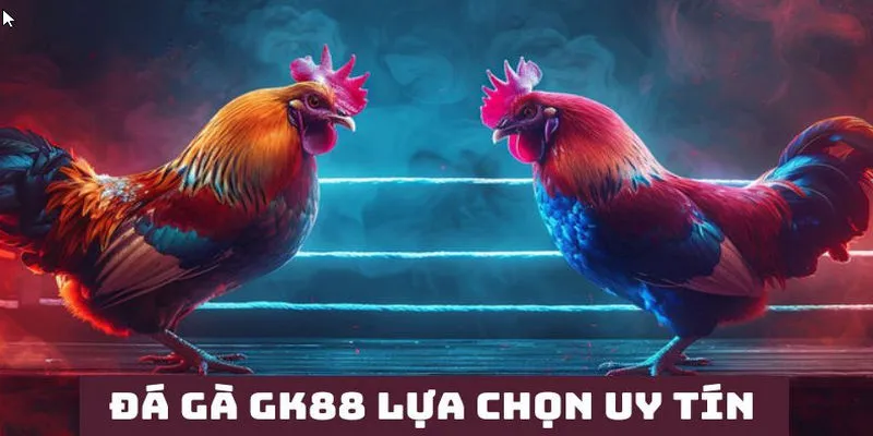 Đá gà Gk88 thuộc top sảnh game giải trí ăn khách nhất hiện nay